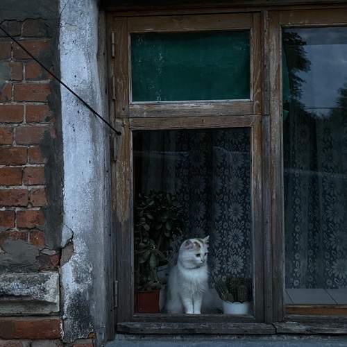 Photo #12049357