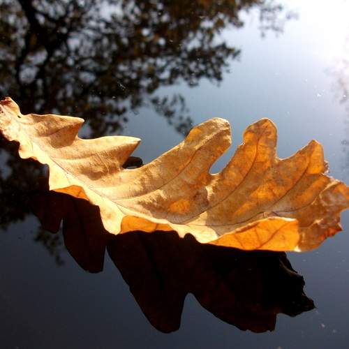 Photo #12049465