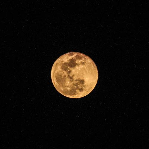 Photo #12049842