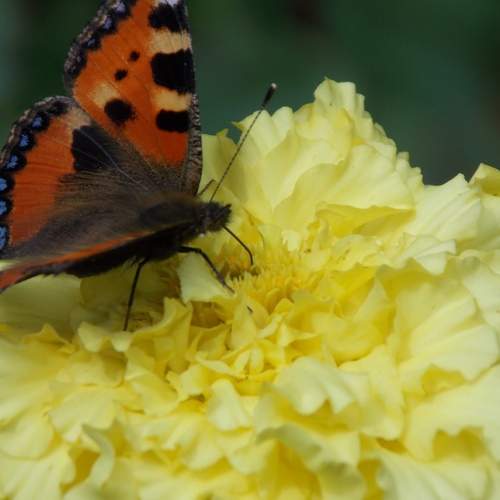 Photo #12049849