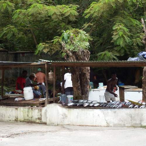 Photo #12049873