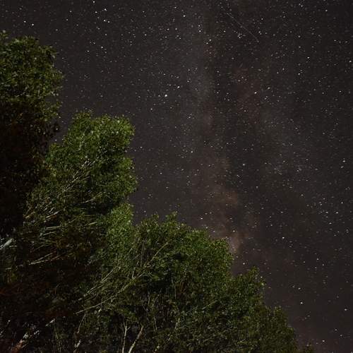Photo #12049940