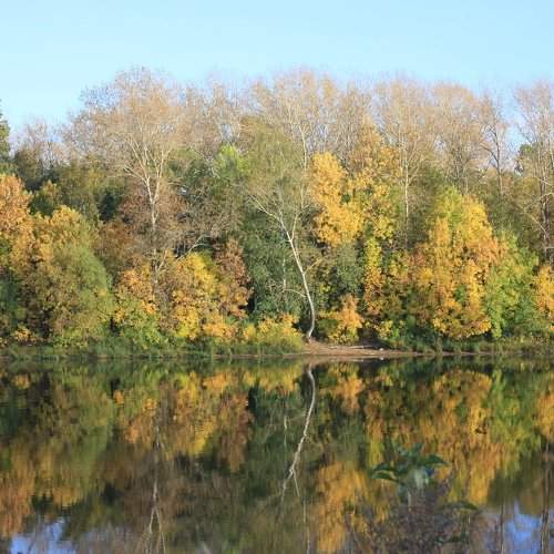 Photo #1205782