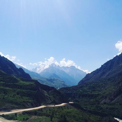Photo #1206493