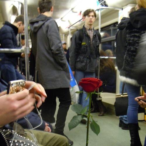 а роза упала на лапу азора