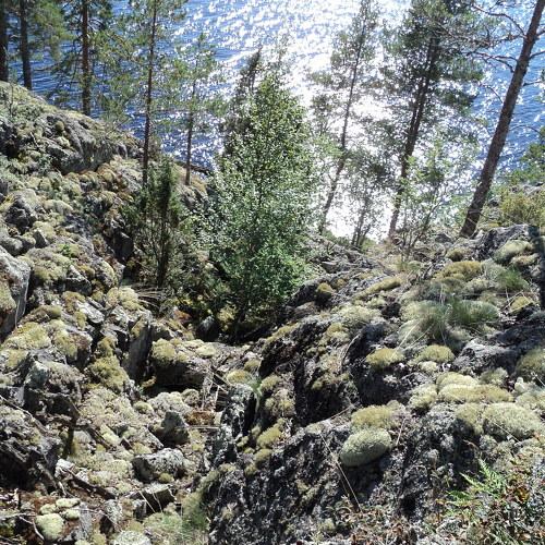 Photo #1208133