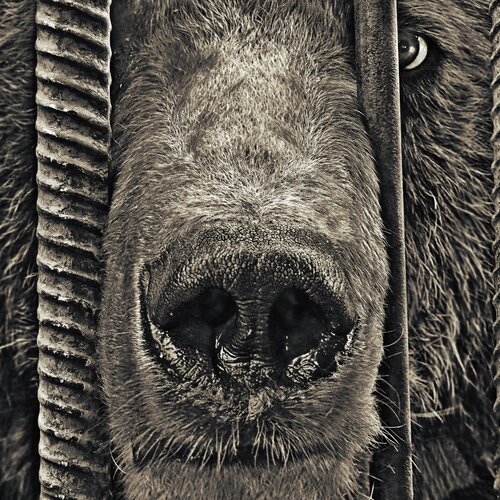 Photo #1209596