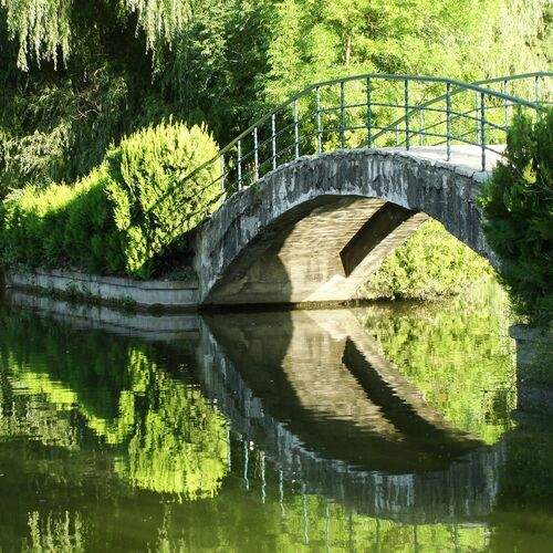 The Bridge