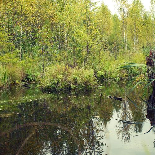 Photo #1209881