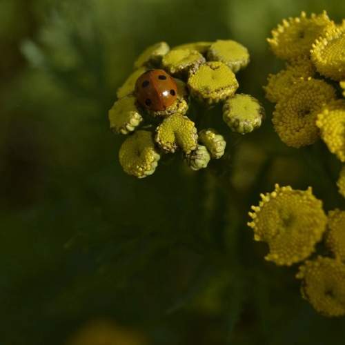 Photo #12050069