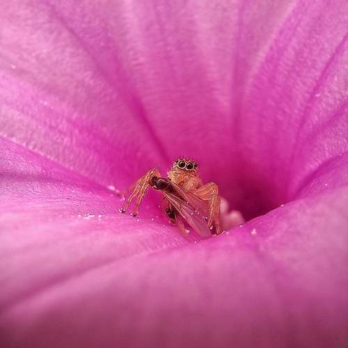 Photo #12050146