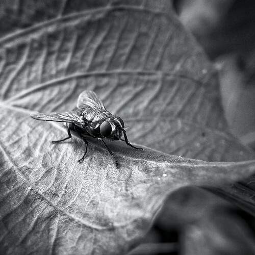 Photo #12050222