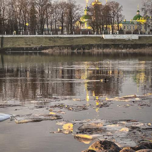 Photo #12050328