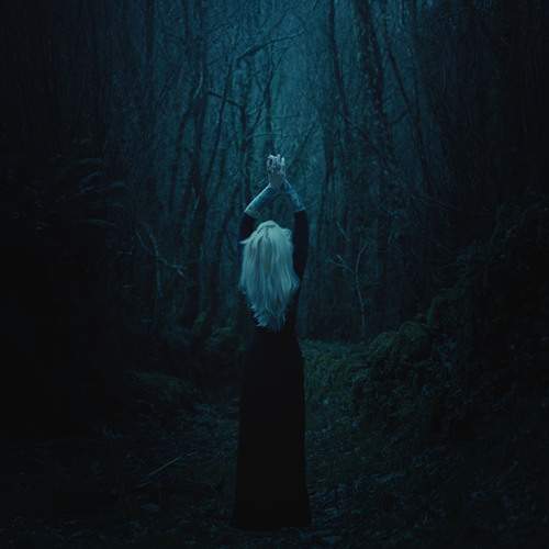 Photo #12050674