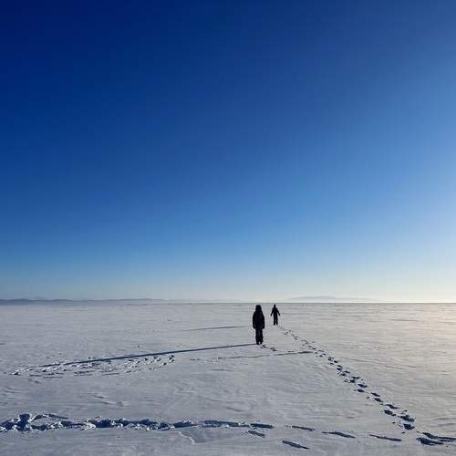 Photo #12050719