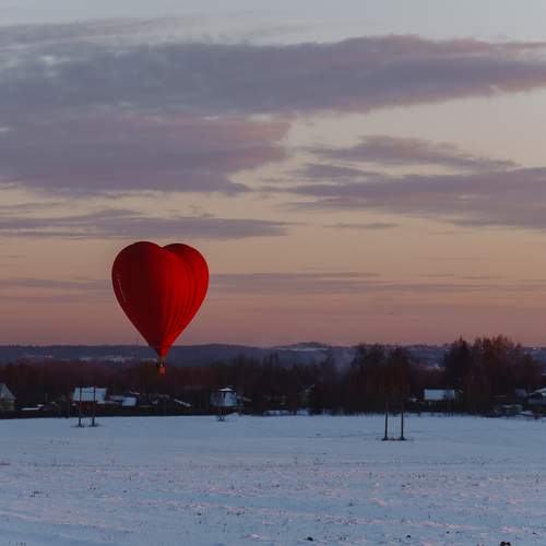 Photo #12050732