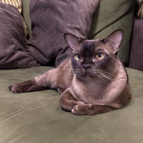 Photo #12050842