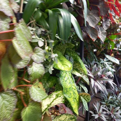 Photo #12050864