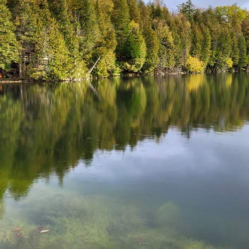 Photo #12050897