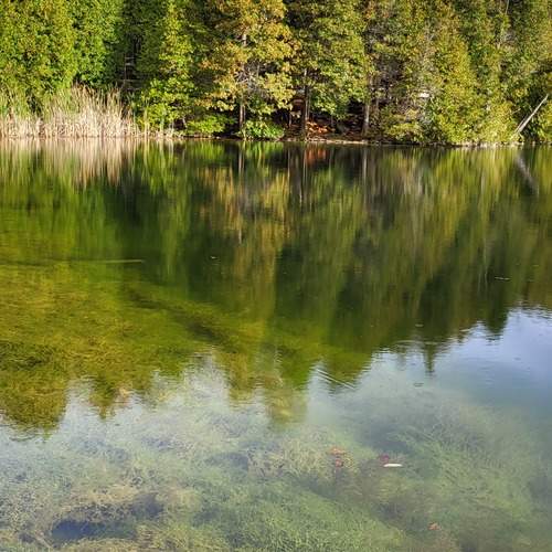 Photo #12050898