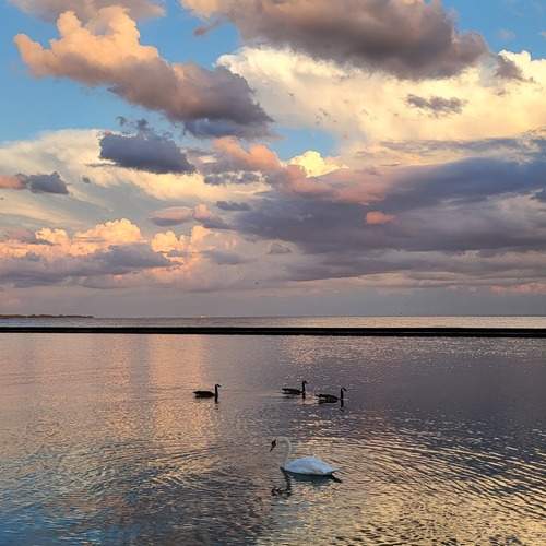 Photo #12050903