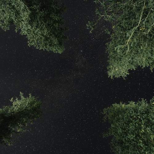 Photo #12050951