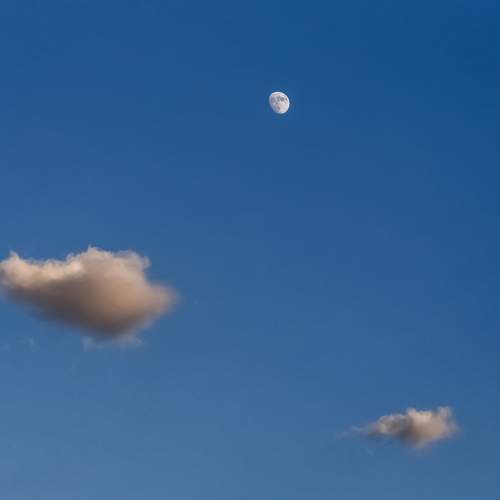 Photo #12051114