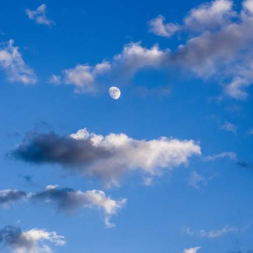 Photo #12051117