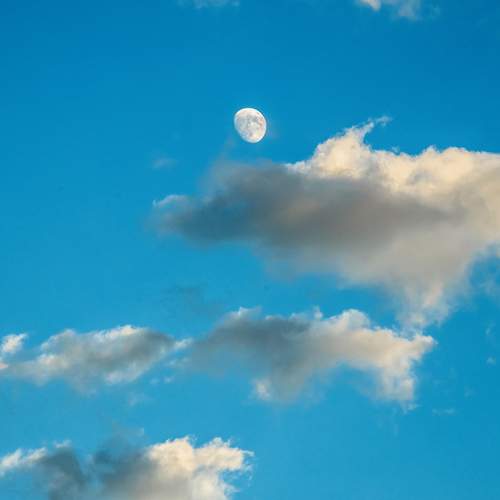 Photo #12051157