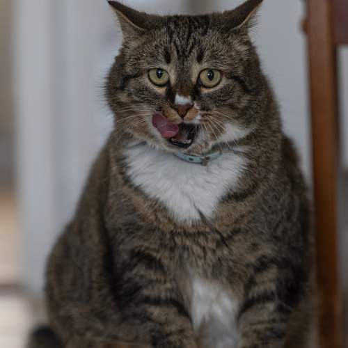 Photo #12051196