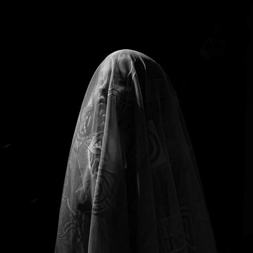 Photo #12051249