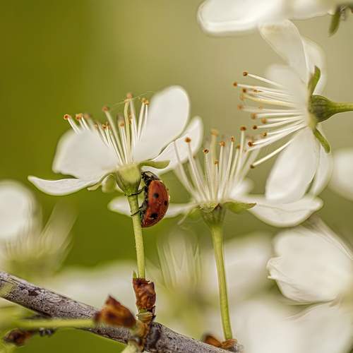Photo #12051466