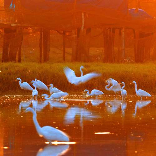 Photo #12051504