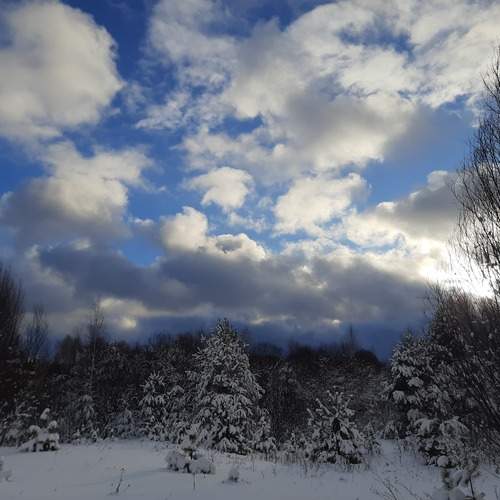 Photo #12051564