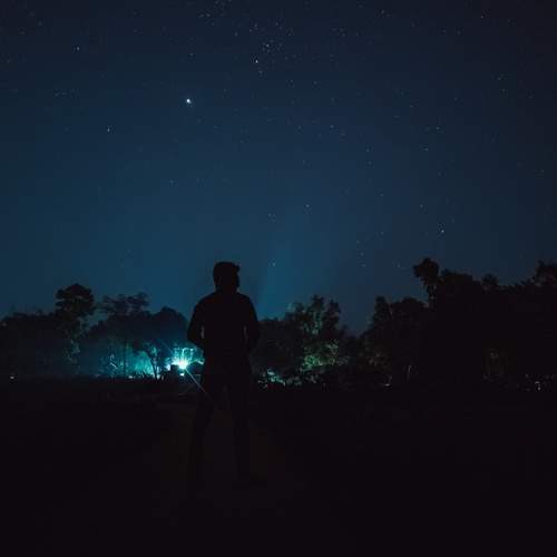 Photo #12051613