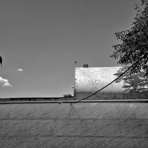 Photo #12051631