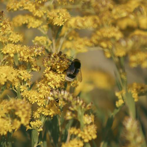Photo #12051671
