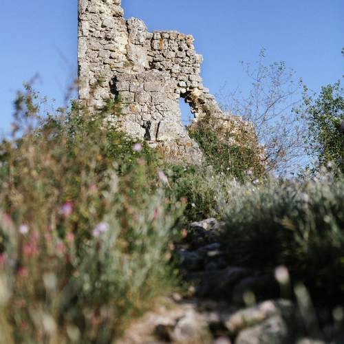Photo #12051949