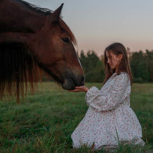 Photo #12051970