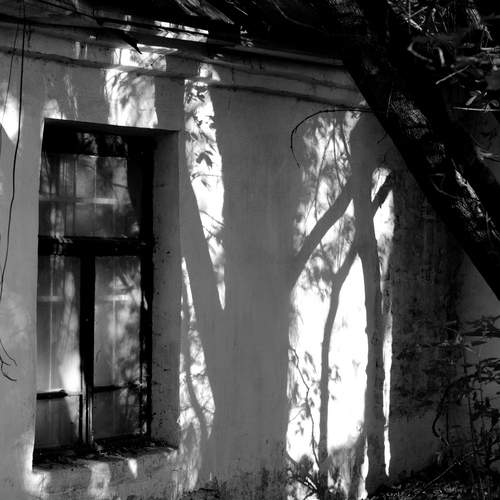Photo #12052030