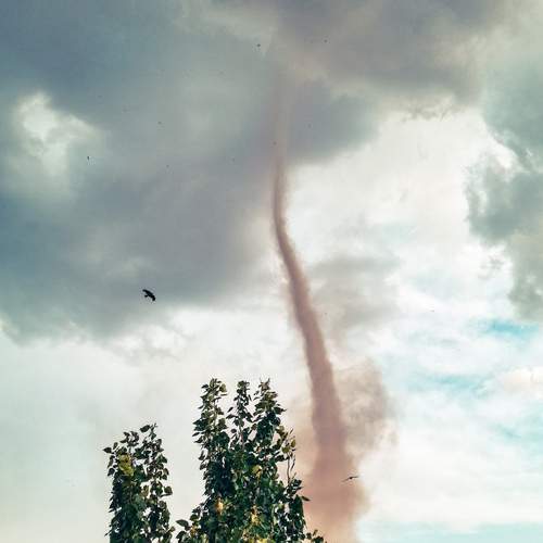 Photo #12052099