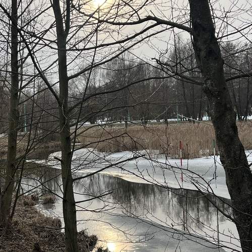 Photo #12052259