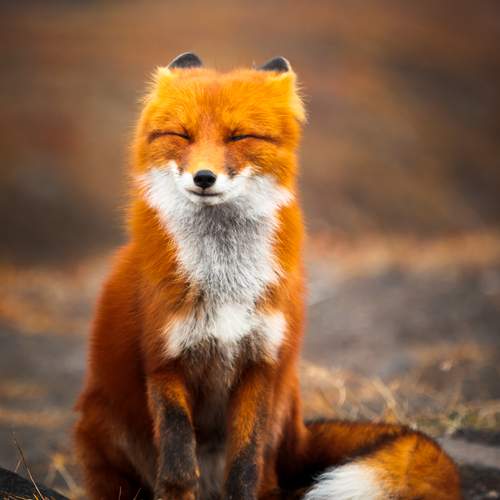 Photo #12052430