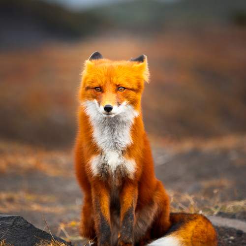 Photo #12052434
