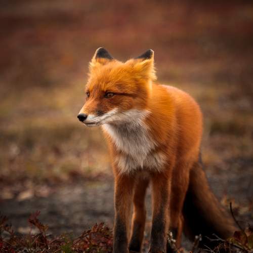 Photo #12052437
