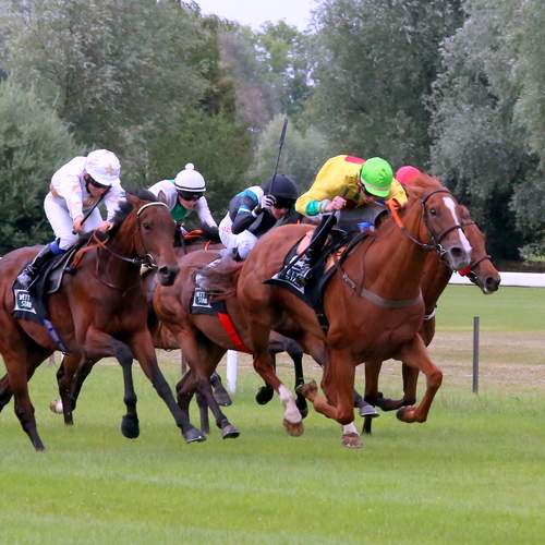 Photo #12052582