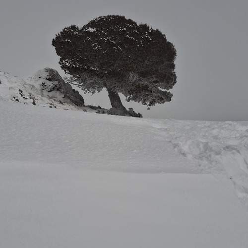 Photo #12052960