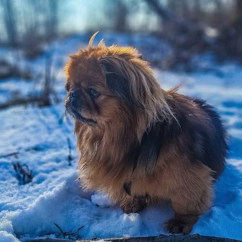 Photo #12053360