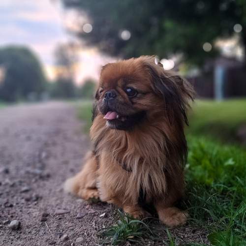 Photo #12053361