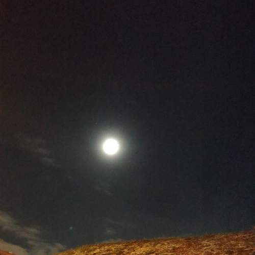 Photo #12053520